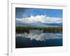 Reflection of Clouds on Water, Everglades National Park, Florida, USA-null-Framed Photographic Print