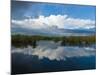 Reflection of Clouds on Water, Everglades National Park, Florida, USA-null-Mounted Photographic Print