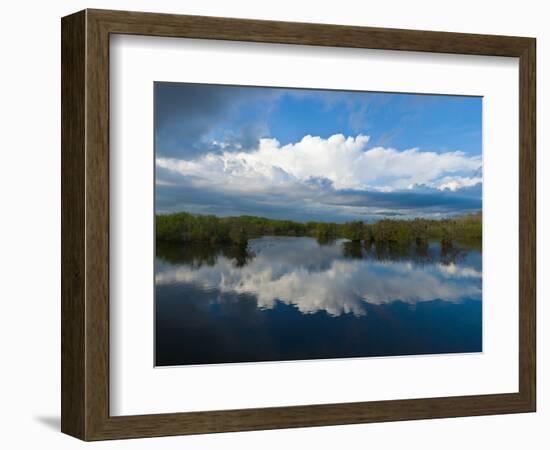 Reflection of Clouds on Water, Everglades National Park, Florida, USA-null-Framed Photographic Print