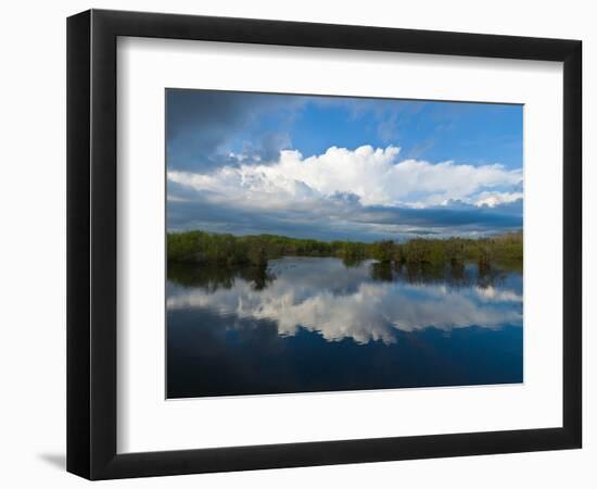 Reflection of Clouds on Water, Everglades National Park, Florida, USA-null-Framed Photographic Print