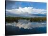Reflection of Clouds on Water, Everglades National Park, Florida, USA-null-Stretched Canvas