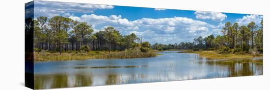 Reflection of clouds on water, Fred C. Babcock-Cecil M. Webb Wildlife Management Area, Punta Gor...-null-Stretched Canvas