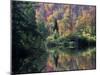 Reflection of Fall Foliage-Marilyn Parver-Mounted Photographic Print