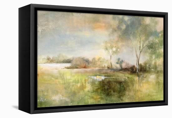 Reflection of June-J Austin Jennings-Framed Stretched Canvas