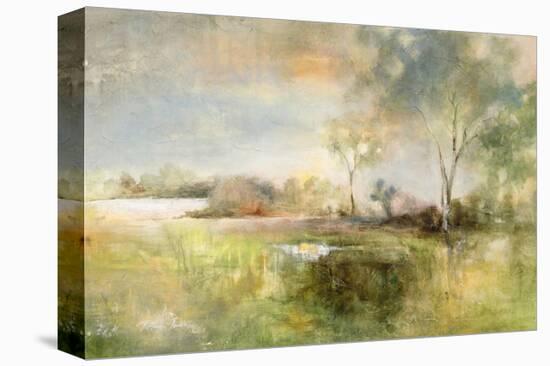 Reflection of June-J Austin Jennings-Stretched Canvas
