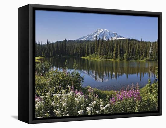 Reflection of Mountain and Trees in Lake, Mt Rainier National Park, Washington State, USA-null-Framed Stretched Canvas