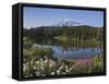 Reflection of Mountain and Trees in Lake, Mt Rainier National Park, Washington State, USA-null-Framed Stretched Canvas