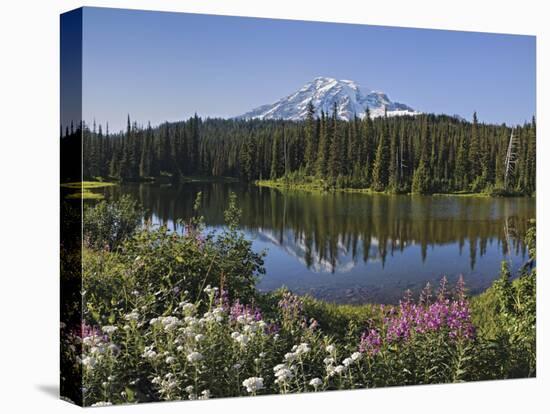 Reflection of Mountain and Trees in Lake, Mt Rainier National Park, Washington State, USA-null-Stretched Canvas