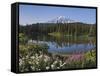 Reflection of Mountain and Trees in Lake, Mt Rainier National Park, Washington State, USA-null-Framed Stretched Canvas