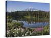 Reflection of Mountain and Trees in Lake, Mt Rainier National Park, Washington State, USA-null-Stretched Canvas