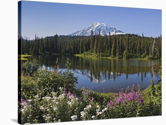 Reflection of Mountain and Trees in Lake, Mt Rainier National Park, Washington State, USA-null-Stretched Canvas