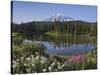 Reflection of Mountain and Trees in Lake, Mt Rainier National Park, Washington State, USA-null-Stretched Canvas