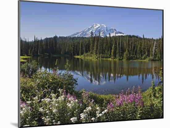 Reflection of Mountain and Trees in Lake, Mt Rainier National Park, Washington State, USA-null-Mounted Photographic Print