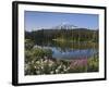 Reflection of Mountain and Trees in Lake, Mt Rainier National Park, Washington State, USA-null-Framed Photographic Print