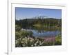 Reflection of Mountain and Trees in Lake, Mt Rainier National Park, Washington State, USA-null-Framed Photographic Print
