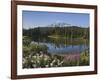 Reflection of Mountain and Trees in Lake, Mt Rainier National Park, Washington State, USA-null-Framed Photographic Print