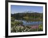 Reflection of Mountain and Trees in Lake, Mt Rainier National Park, Washington State, USA-null-Framed Photographic Print