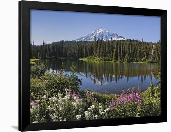 Reflection of Mountain and Trees in Lake, Mt Rainier National Park, Washington State, USA-null-Framed Photographic Print