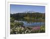 Reflection of Mountain and Trees in Lake, Mt Rainier National Park, Washington State, USA-null-Framed Photographic Print