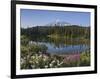 Reflection of Mountain and Trees in Lake, Mt Rainier National Park, Washington State, USA-null-Framed Photographic Print