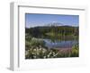 Reflection of Mountain and Trees in Lake, Mt Rainier National Park, Washington State, USA-null-Framed Photographic Print