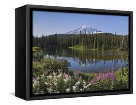 Reflection of Mountain and Trees in Lake, Mt Rainier National Park, Washington State, USA-null-Framed Stretched Canvas