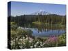 Reflection of Mountain and Trees in Lake, Mt Rainier National Park, Washington State, USA-null-Stretched Canvas