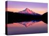 Reflection of mountain range in a lake, Mt Hood, Lost Lake, Mt Hood National Forest, Oregon, USA-null-Stretched Canvas