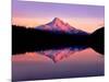 Reflection of mountain range in a lake, Mt Hood, Lost Lake, Mt Hood National Forest, Oregon, USA-null-Mounted Photographic Print