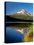 Reflection of mountain range in a lake, Mt Hood, Trillium Lake, Mt Hood National Forest, Clackam...-null-Stretched Canvas