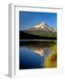 Reflection of mountain range in a lake, Mt Hood, Trillium Lake, Mt Hood National Forest, Clackam...-null-Framed Photographic Print