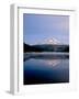 Reflection of mountain range in a lake, Mt Hood, Trillium Lake, Mt Hood National Forest, Oregon...-null-Framed Photographic Print