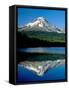 Reflection of mountain range in a lake, Mt Hood, Trillium Lake, Mt Hood National Forest, Oregon...-null-Framed Stretched Canvas