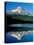 Reflection of mountain range in a lake, Mt Hood, Trillium Lake, Mt Hood National Forest, Oregon...-null-Stretched Canvas