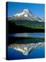Reflection of mountain range in a lake, Mt Hood, Trillium Lake, Mt Hood National Forest, Oregon...-null-Stretched Canvas
