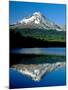 Reflection of mountain range in a lake, Mt Hood, Trillium Lake, Mt Hood National Forest, Oregon...-null-Mounted Photographic Print