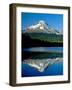 Reflection of mountain range in a lake, Mt Hood, Trillium Lake, Mt Hood National Forest, Oregon...-null-Framed Photographic Print