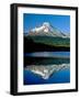 Reflection of mountain range in a lake, Mt Hood, Trillium Lake, Mt Hood National Forest, Oregon...-null-Framed Photographic Print