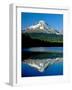 Reflection of mountain range in a lake, Mt Hood, Trillium Lake, Mt Hood National Forest, Oregon...-null-Framed Photographic Print