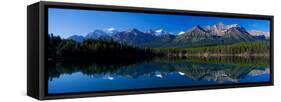 Reflection of Mountains in Herbert Lake, Banff National Park, Alberta, Canada-null-Framed Stretched Canvas