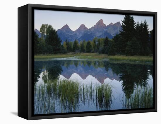 Reflection of Mountains in River, Schwabacher's Landing, Grand Teton National Park, Wyoming, USA-Scott T^ Smith-Framed Stretched Canvas