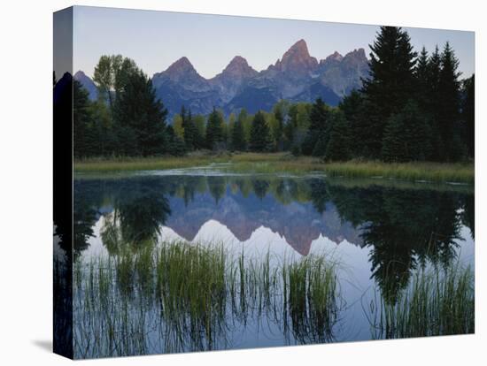 Reflection of Mountains in River, Schwabacher's Landing, Grand Teton National Park, Wyoming, USA-Scott T^ Smith-Stretched Canvas