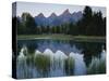 Reflection of Mountains in River, Schwabacher's Landing, Grand Teton National Park, Wyoming, USA-Scott T^ Smith-Stretched Canvas