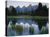 Reflection of Mountains in River, Schwabacher's Landing, Grand Teton National Park, Wyoming, USA-Scott T^ Smith-Stretched Canvas