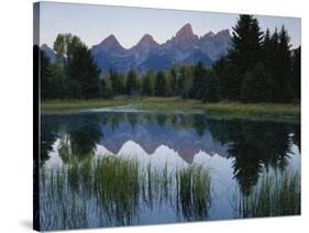 Reflection of Mountains in River, Schwabacher's Landing, Grand Teton National Park, Wyoming, USA-Scott T^ Smith-Stretched Canvas