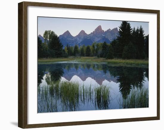 Reflection of Mountains in River, Schwabacher's Landing, Grand Teton National Park, Wyoming, USA-Scott T^ Smith-Framed Photographic Print