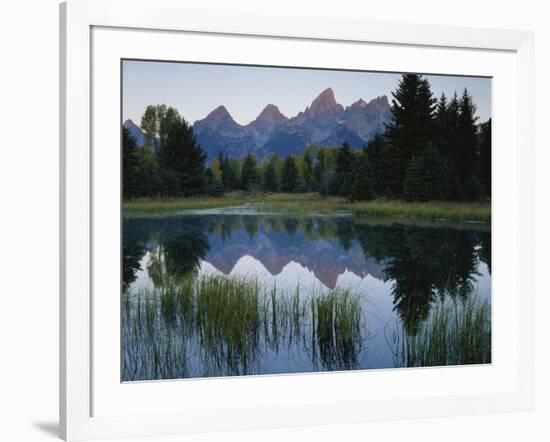 Reflection of Mountains in River, Schwabacher's Landing, Grand Teton National Park, Wyoming, USA-Scott T^ Smith-Framed Photographic Print