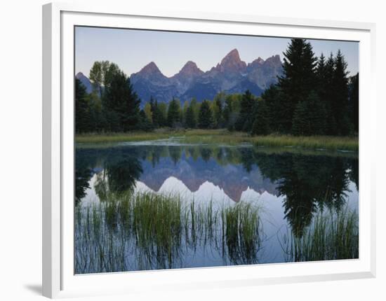 Reflection of Mountains in River, Schwabacher's Landing, Grand Teton National Park, Wyoming, USA-Scott T^ Smith-Framed Photographic Print