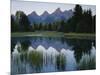 Reflection of Mountains in River, Schwabacher's Landing, Grand Teton National Park, Wyoming, USA-Scott T^ Smith-Mounted Photographic Print