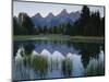 Reflection of Mountains in River, Schwabacher's Landing, Grand Teton National Park, Wyoming, USA-Scott T^ Smith-Mounted Photographic Print